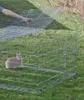 Kerbl Enclos extérieur avec barrière anti-fugue Voir les images du produit 19
