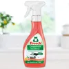 Frosch® 5548398006 Frosch® Grapefruit Fettlöser 0,5 l Náhled obrázku produktu 3