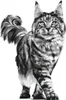 A black and white illustration of a Maine Coon cat. Náhled obrázku produktu