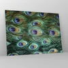 Bilder auf glas - Einteilig - Pfauen Feder Makro - 70x50cm Produktbild-Vorschau 4