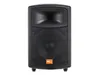 PG Audio PA 100,Disko,Party,Pa Lautsprecher,10 Zoll,1 Stück Produktbild-Vorschau 1