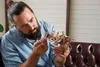 A man is assembling a wooden model motorcycle. Anteprima dell’immagine prodotto