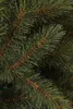 Triumph Tree Bristlecone Fir künstlicher Weihnachtsbaum 686 Produktbild-Vorschau 6