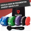 VIA FORTIS Premium Resistance Band + Übungsanleitung und Produktbild-Vorschau 3
