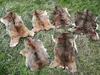 Muflon  Wildschaf Muffelwild Fell gegerbt Larp Deko ÖKO  Produktbild-Vorschau 3