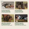 AniForte Olivenholz für Hunde L - Rein natürlicher Hunde Produktbild-Vorschau 5