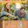 Coemo Hochbeet Kräuterbeet Holz mit Pflanzfolie 90 x 40 x Produktbild-Vorschau 4