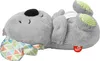 Fisher-Price Schlummer-Koala, Plüsch-Tier Baby, Spieluhr, Produktbild-Vorschau 3