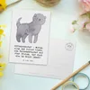 Mr. & Mrs. Panda Grußkarte Affenpinscher Liebe - Weiß - Produktbild-Vorschau 3