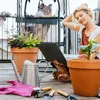 relaxdays Gewächshaus für Balkon mit 3 Ebenen Produktbild-Vorschau 3