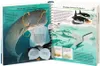 Wir entdecken Wale und Delfine Voir les images du produit 7