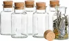 12er Set Gewürzgläser 300ml + Korken, Aufbewahrung von Tee, Produktbild-Vorschau 2