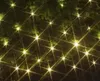 A close-up view of a string of warm white LED lights arranged in a grid pattern over dark green foliage. Produktbild-Vorschau