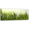 Leinwandbild Weizenfeld 120x40 Feeby Grün bild für die wand Produktbild-Vorschau 1
