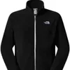 Jas The North Face NF0A8D0RJK31 voor Heren Productafbeelding-voorbeeld 1