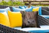MuchoWow® Outdoor Kissen - Schottisches Hochlandrind - Produktbild-Vorschau 4