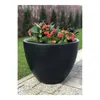 A black planter with red flowers sits on a paved patio next to a lawn. Produktbild-Vorschau