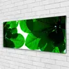 Acrylglasbilder 125x50 Wandbild Druck Blätter Pflanzen Produktbild-Vorschau 2