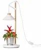 LED-plantlamp voor kruidentuin, gemaakt van echt hout, 9W, Productafbeelding-voorbeeld 2