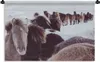 MuchoWow® Wandteppich Wandbehang Pferde - Schnee - Weiß Produktbild-Vorschau 1