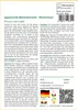 SAFLAX - Japanische Blütenkirsche - Prunus serrulata - 30 Produktbild-Vorschau 3