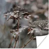 MuchoWow® Poster Blumen - Eiscreme - Winter 75x75 cm - Wand Produktbild-Vorschau 1