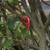 COM-FOUR® 2x Laternenhalter für Camping und Garten - Produktbild-Vorschau 4