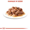 Royal Canin Hair & Skin 12x85g Nassfutter für ausgewachsene Produktbild-Vorschau 5