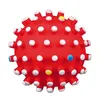 Igelball für Hunde ø 6 cm petrol Náhľad obrázku produktu 2