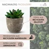 Künstliche Pflanzen Mini 4er Set Dekoration Kunstpflanzen Produktbild-Vorschau 7