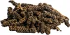 Langer Pfeffer ganz (Chavia officinarum) - Stangenpfeffer Produktbild-Vorschau 1