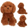 TopModel TOPModel Plüsch Hund Teddy braun 30 cm FUR EVER Produktbild-Vorschau 1