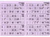 Plaque de 6 grilles de loto rigide 1mm lilas - cartons loto Voir les images du produit 1