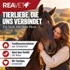 REAVET Gelenk Complete 1kg, Gelenkpulver Pferd – Produktbild-Vorschau 7