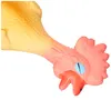 Nobby Latex Hähnchen, 26 cm Produktbild-Vorschau 1