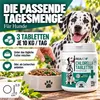 REAVET Chlorella Tabletten für Hunde 500 Stück – Produktbild-Vorschau 5