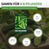 Mini Snackgurke Salamanda F1 Samen - Cucumis sativus - Produktbild-Vorschau 3