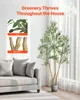 A living room scene with a couch and an artificial olive tree. Anteprima dell’immagine prodotto
