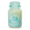 Yankee Candle Geurkaars, Large, Geur van het Jaar 2022 - 17 Productafbeelding-voorbeeld 1