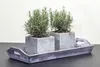 Two potted rosemary plants are displayed on a rustic wooden tray. Produktbild-Vorschau