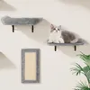 Parete di arrampicata Sdraio per gatti Sdraio per gatti Anteprima dell’immagine prodotto 8