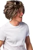Perruque de chanteur Micky brun chiné musicien pour hommes Voir les images du produit 5