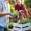 Relaxdays Schiefer Pflanzenschilder, 12er Set, zum Produktbild-Vorschau 3