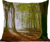 MuchoWow® Outdoor Kissen - Wald - Sonne - Jahreszeiten - Produktbild-Vorschau 1
