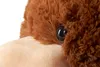 BRUBAKER Teddy Bear XXL 100 cm - Peluche grand modèle - Voir les images du produit 6