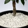 Schicker Mineral-Marmor Ziersplitt weiß 25 kg-8-16mm Produktbild-Vorschau 2