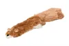 Hunde-Kuscheltier Eichhörnchen 38 cm Plüsch braun Produktbild-Vorschau 3