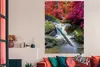MuchoWow® Poster Regenbogen - Wasserfall - Bäume - Steine - Produktbild-Vorschau 2