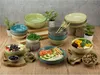 CreaTable, 23422, Nature Collection Bunt, Poke Bowl 4-tlg, Náhľad obrázku produktu 9