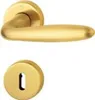 A brass door handle and escutcheon plate against a white background. Podgląd zdjęcia produktu